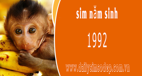 sim năm sinh 1991