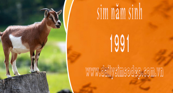 sim năm sinh 1991