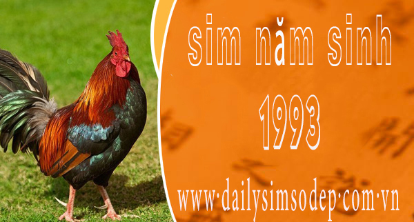 sim năm sinh 1992