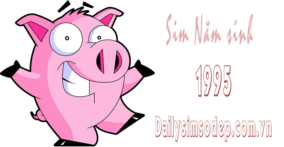 sim năm sinh 1995