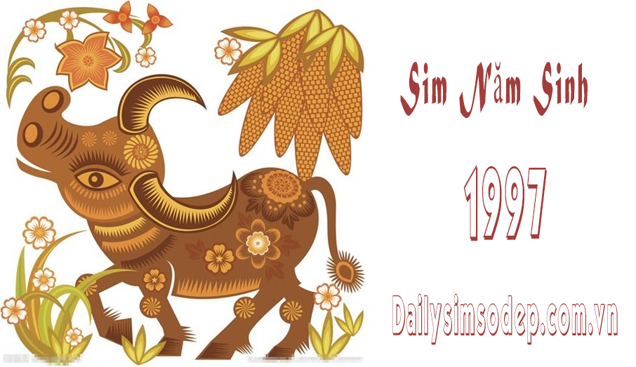 sim năm sinh 1997