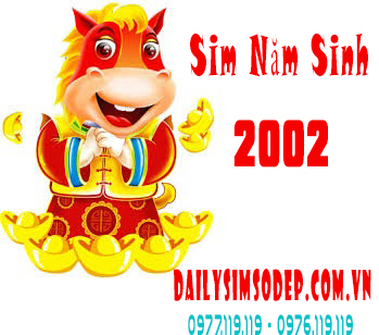 sim năm sinh 2002