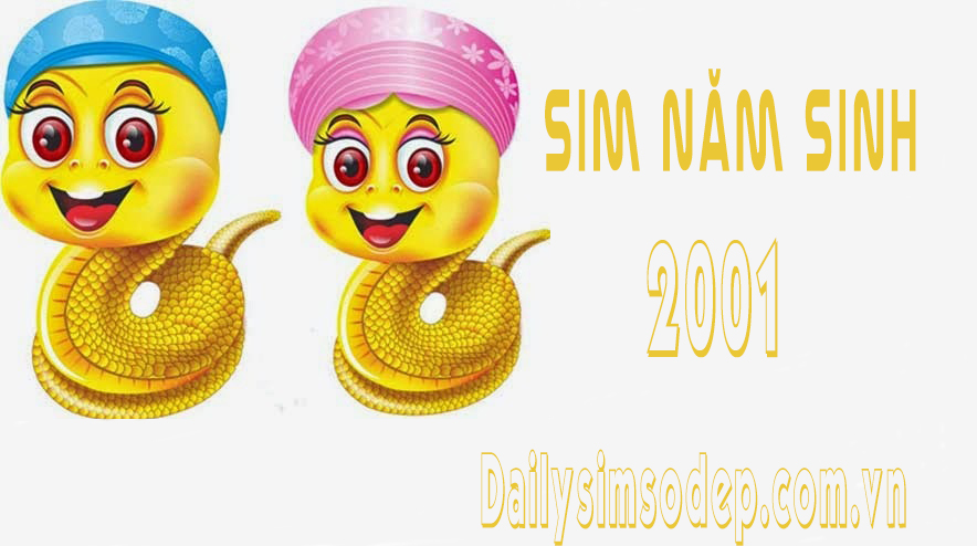 sim năm sinh 2001