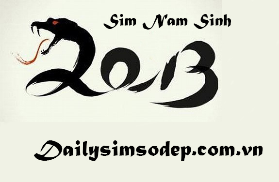 sim năm sinh 2013