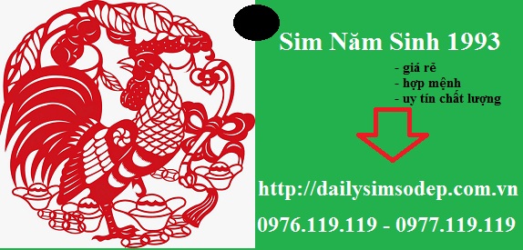 sim nam sinh 1993