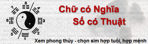 sim phong thuy hop menh