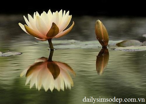 phong thuy cong danh