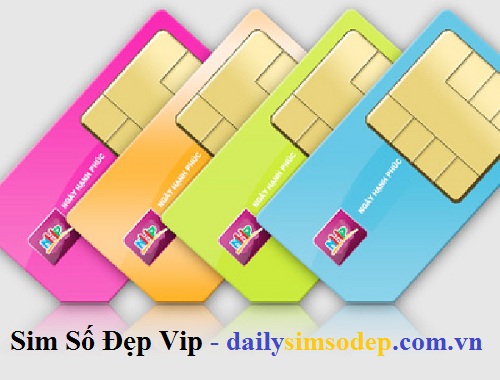 sim so dep vip