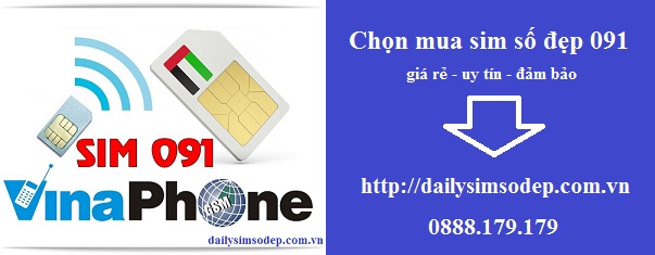 sim 091 vina
