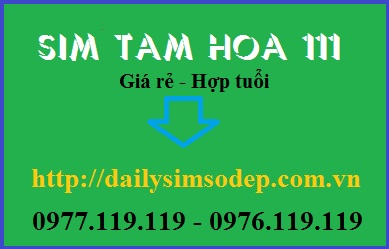 sim tam hoa 111
