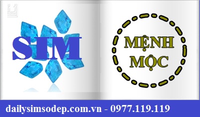 sim cho nguoi menh moc