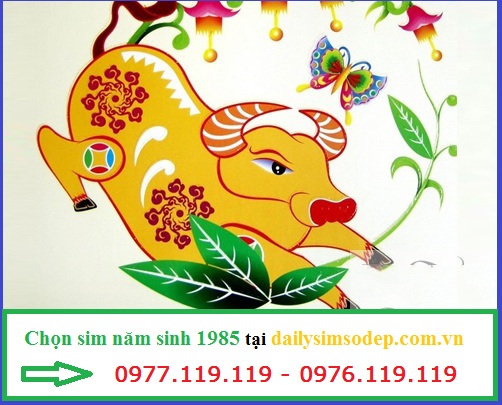 sim nam sinh 1985