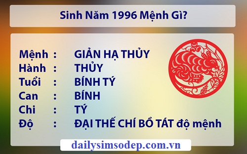 nam sinh 1996 hop tuoi