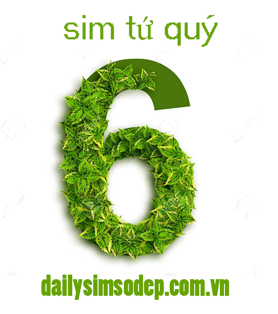 sim tứ quý 6666