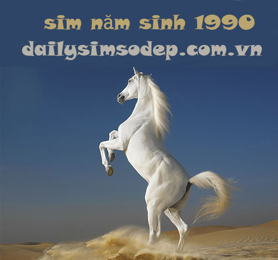 sim năm sinh 1990