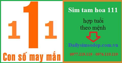 sim tam hoa 111 hop tuoi
