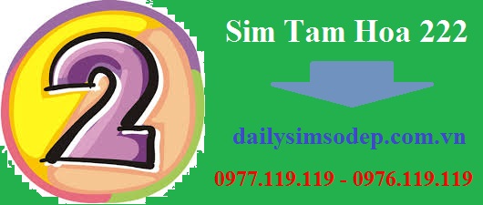 sim tam hoa 222