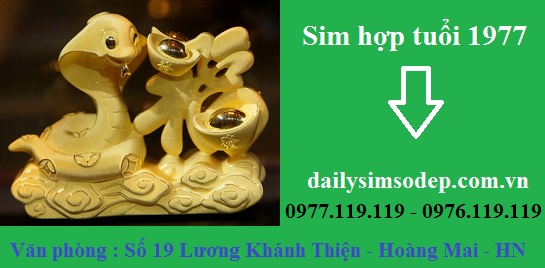 sim hop tuoi 1977