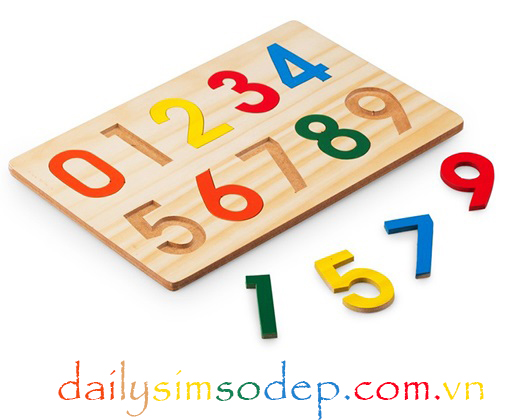 Định nghĩa sim số đẹp với người dùng