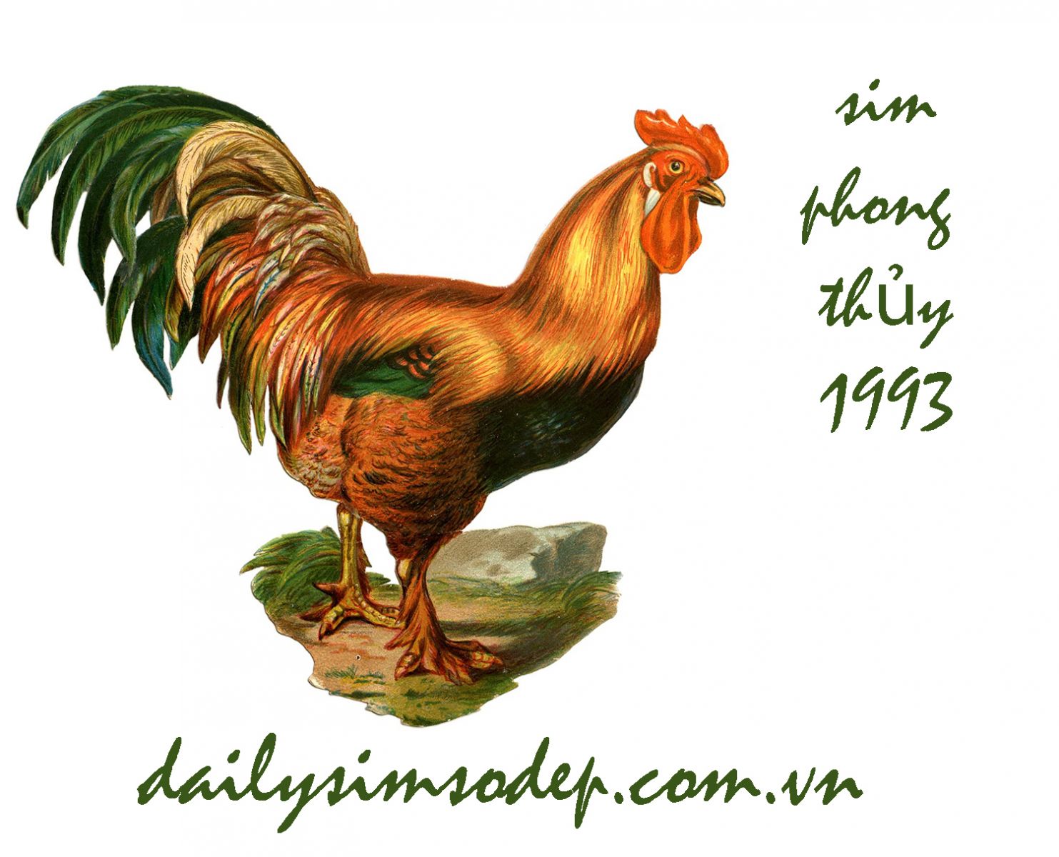 sim phong thủy cho người sinh năm 1993