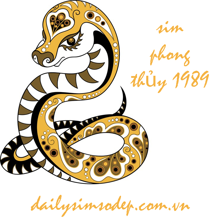 sim phong thủy cho người sinh năm 1989