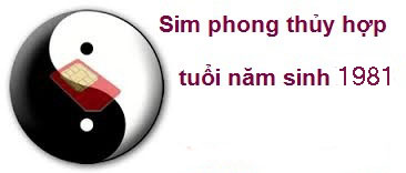 sim phong thủy hợp tuổi 1981