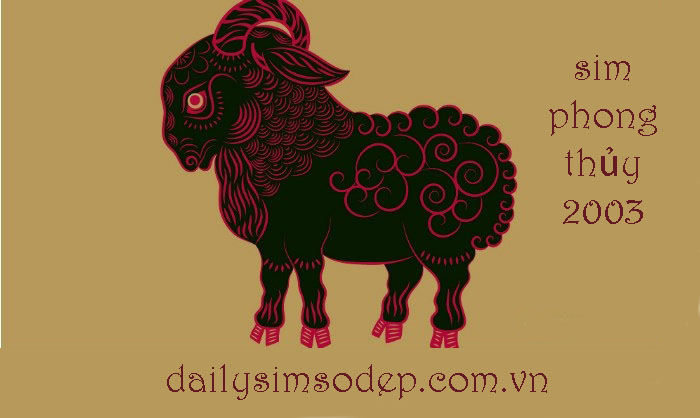 sim phong thủy năm sinh 2003