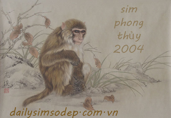 sim phong thủy 2004