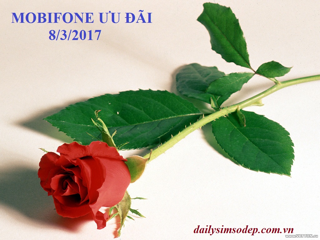 MobiFone ưu đãi đặc biệt