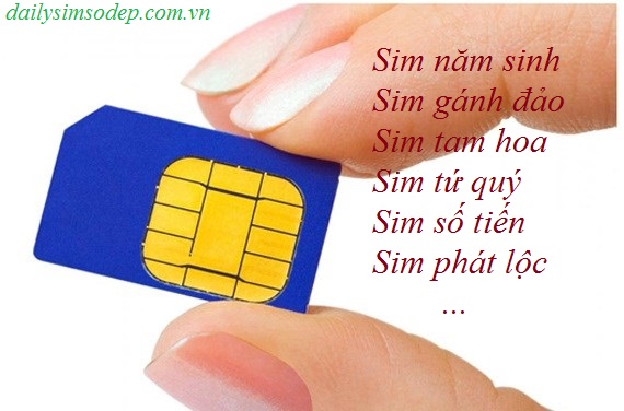 sim số đẹp tại dailysimsodep.com.vn