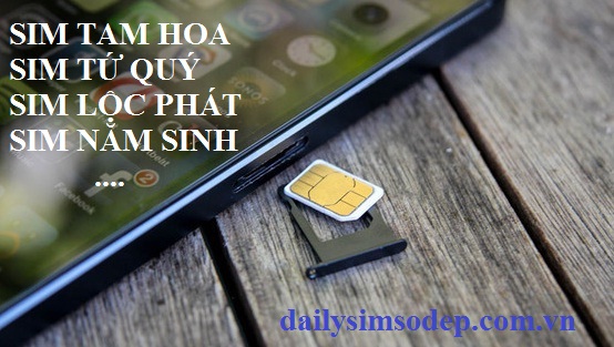 sim số đẹp tại dailysimsodep.com.vn