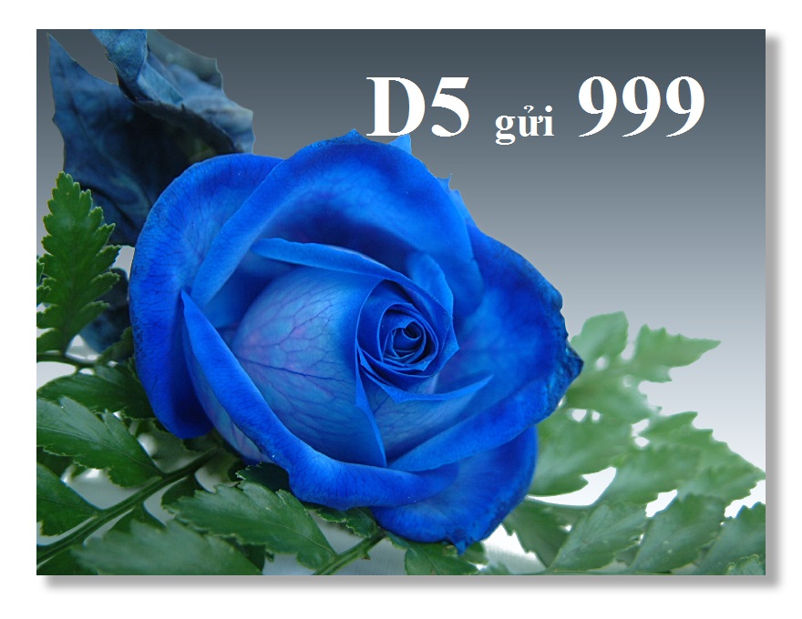 đăng ký gói cước 3G MobiFone