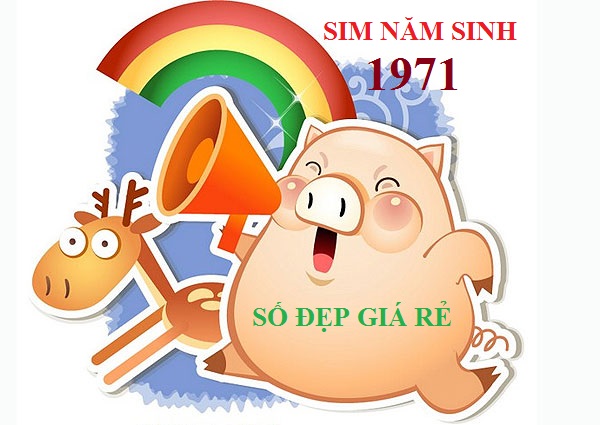 sim năm sinh cho người sinh năm 1971