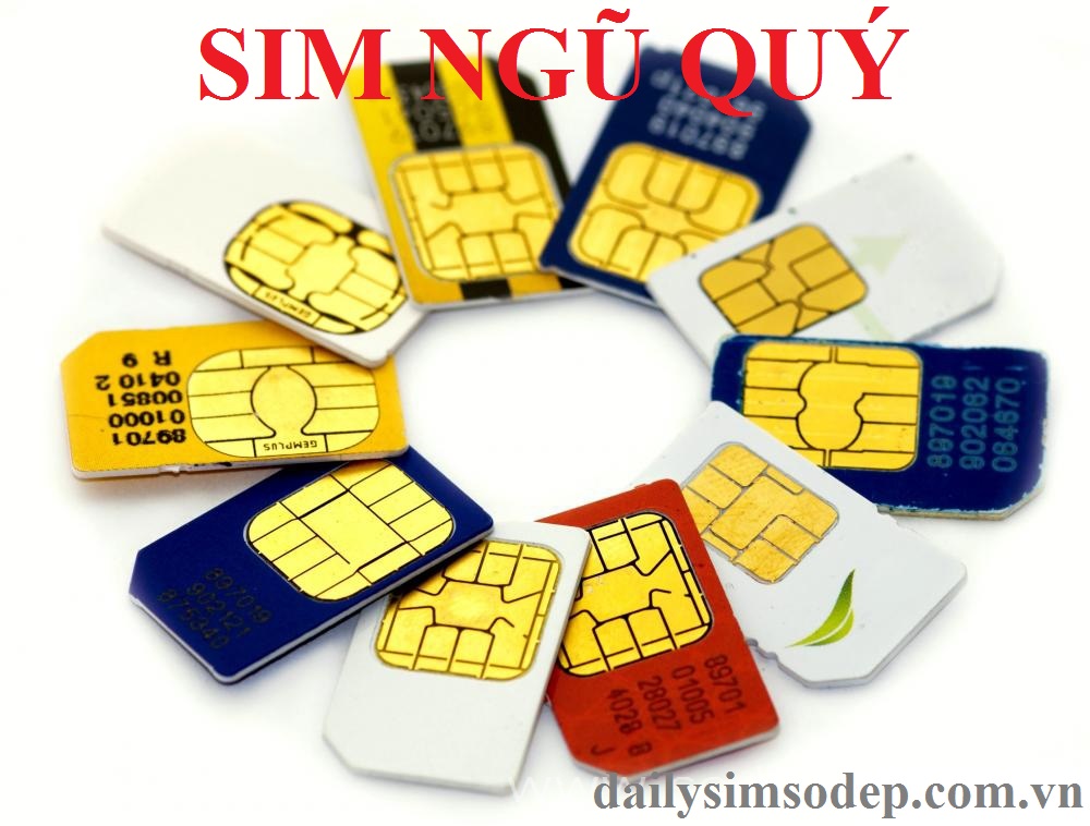 SIM NGŨ QUÝ ĐẸP CHO MỌI NGƯỜI