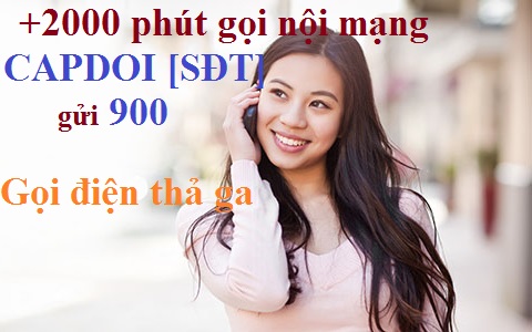 dịch vụ cặp đôi của Vinaphone