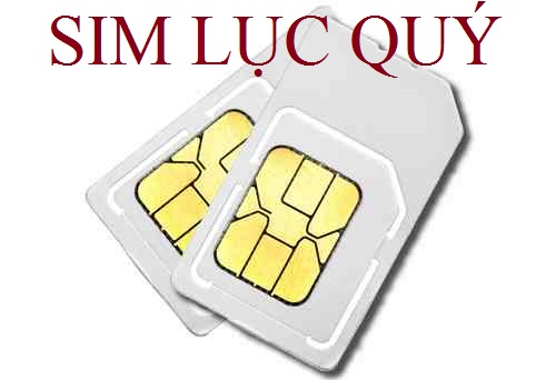 sim lục quý giá rẻ
