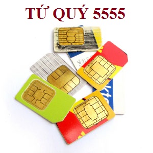 sim tứ quý 5555