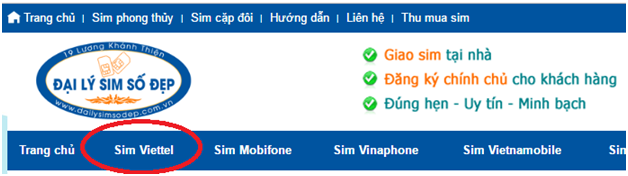 sim Viettel giá rẻ