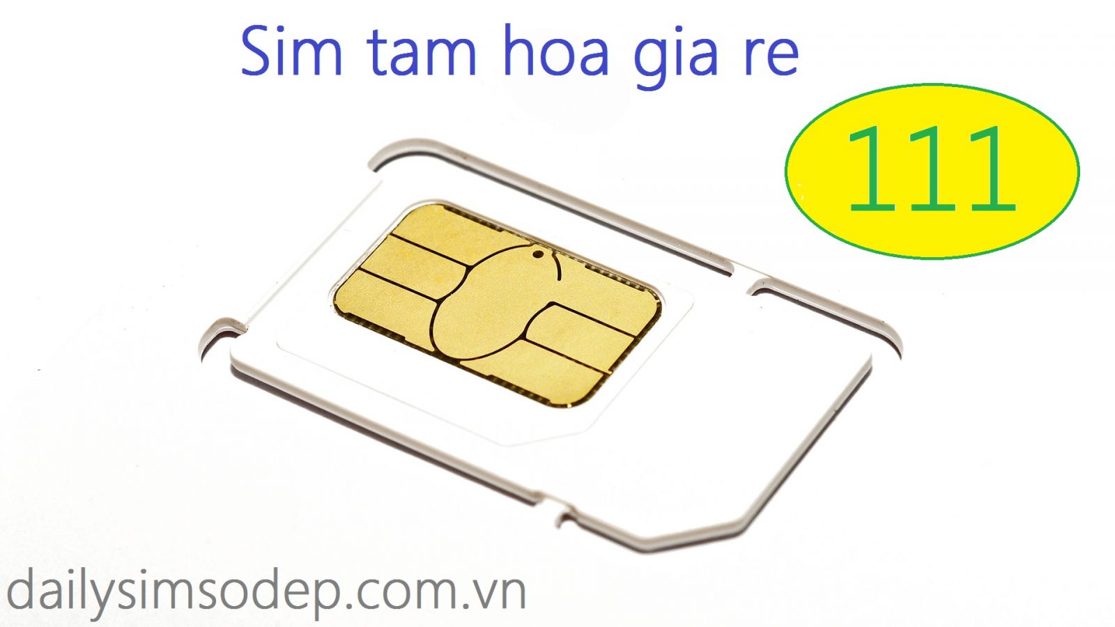 sim tam hoa 111 giá rẻ