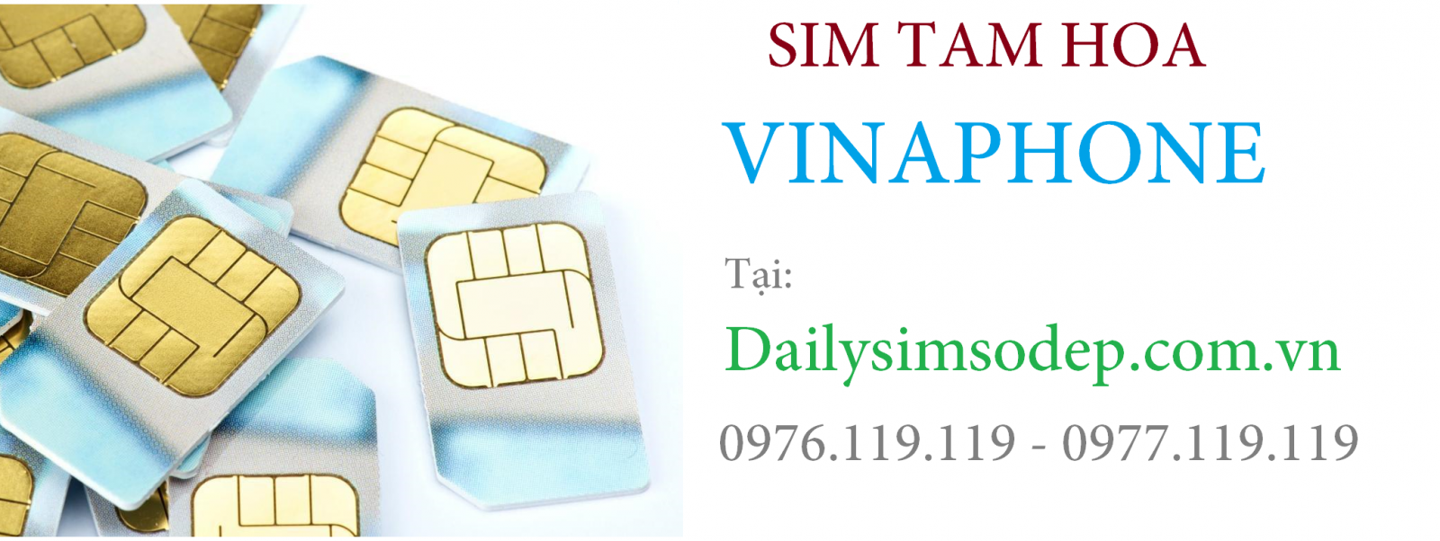 sim tam hoa Vinaphone