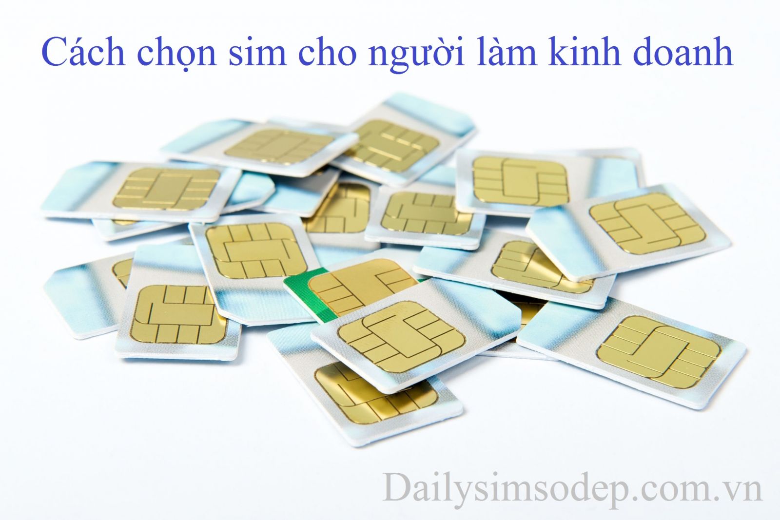 sim dành cho người làm ăn kinh doanh