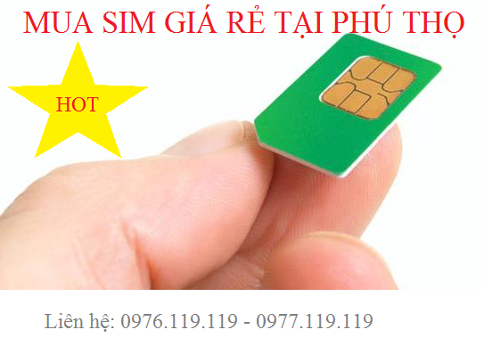 Mua sim số đẹp tại Phú Thọ