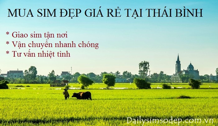 Mua sim đẹp giá rẻ tại Thái Bình