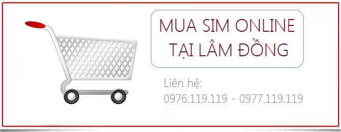 Mua sim đẹp rẻ