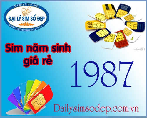 sim nam sinh 1987