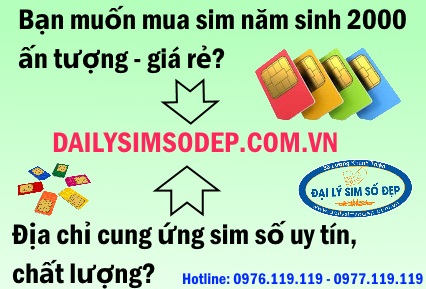 Vì sao sim năm sinh 2000 được ưa chuộng hiện nay