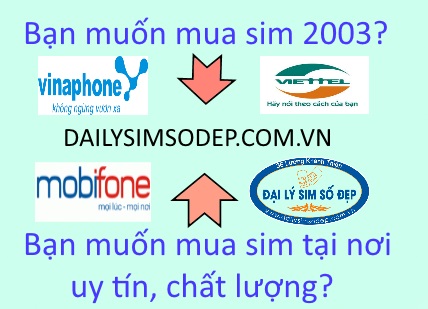 Địa chỉ mua sim năm sinh 2003