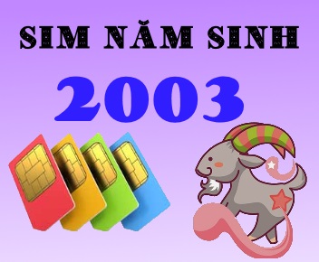 Vì sao sim năm sinh 2003 được ưa chuộng hiện nay