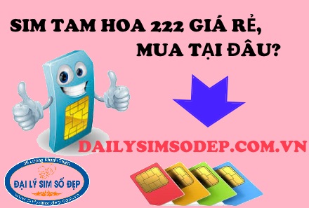 Tại sao nên mua sim tam hoa 222 tại đại lý sim số đẹp