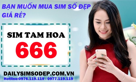 Tại sao nên mua sim tam hoa 666 tại Đại lý sim số đẹp